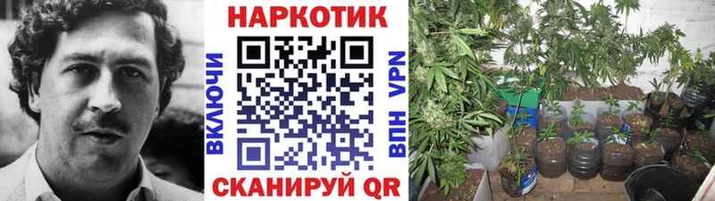 Где купить Черепаново ТГК APVP Гашиш Марихуана Меф КОКАИН