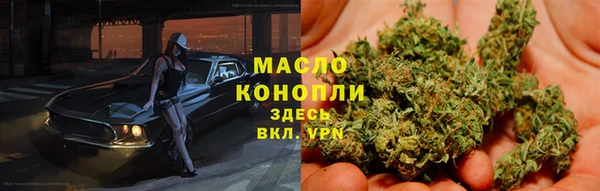 СК Алексин