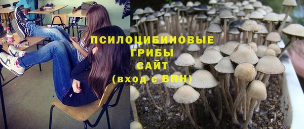 MDMA Алексеевка