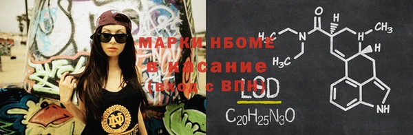 СК Алексин
